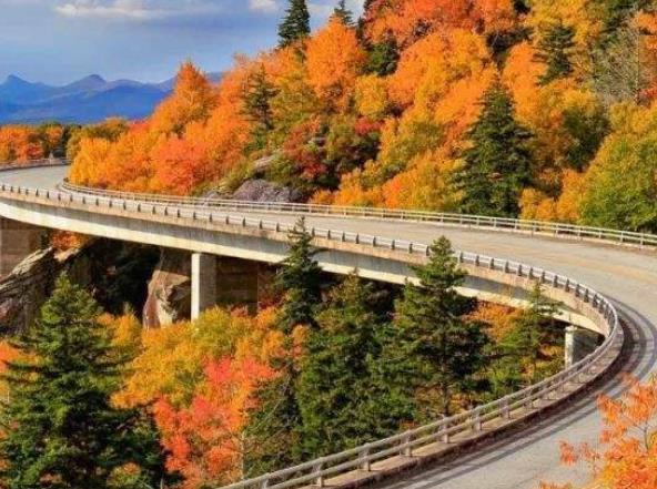 世界十大風景線旅游景點排行 蒙納路位于印度喀拉拉邦