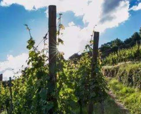 世界十大風景線旅游景點排行 蒙納路位于印度喀拉拉邦