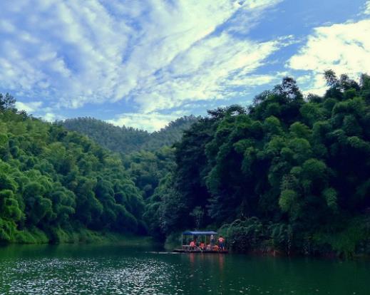 中國十大原始森林旅游景點排行 雪嶺云杉是天山林海中特有一個樹種