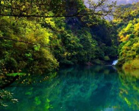 中國十大原始森林旅游景點排行 雪嶺云杉是天山林海中特有一個樹種