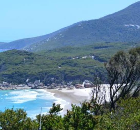 最美的10個度蜜月的海島旅游排行 莫桑比克基林巴群島獨具一格的方式