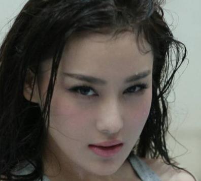 娛樂圈十大被黑到崩潰的女星 謝娜成了網友們抹黑的重點對象