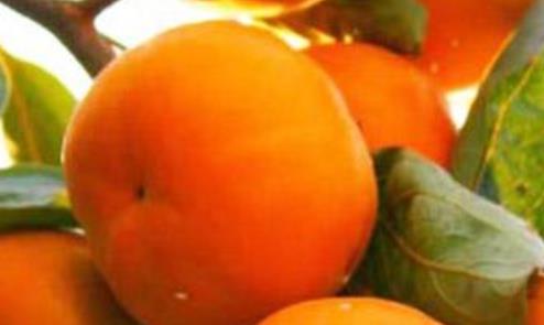 山晉城土特產(chǎn)品排行 外國人把長山藥稱為“中國人參”