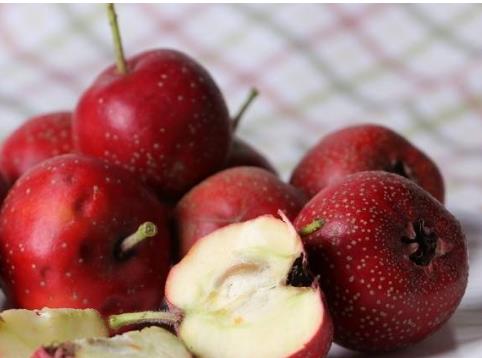 山晉城土特產(chǎn)品排行 外國人把長山藥稱為“中國人參”