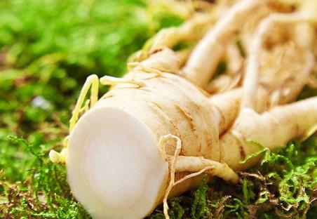 黑龍江牡丹江土特產品排行 榛蘑是真正的綠色純天然產品