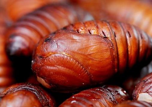 云南西雙版納特色小吃排行榜 肉粥是哈尼人接待親朋好友的佳肴