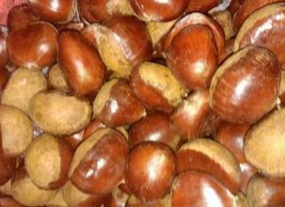 遼寧丹東土特產品排行榜 丹東板栗可生食糖炒