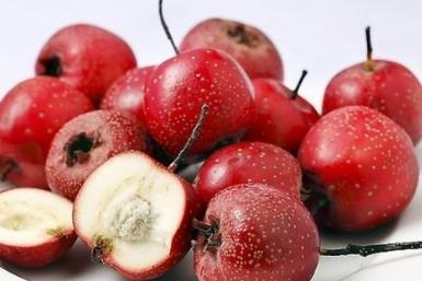 遼寧遼陽土特產品排行榜 林蛙是傳統的中藥材