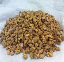 遼寧阜新土特產品排行 大扁杏果面黃色陽面略有紅暈