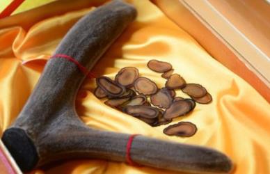 遼寧撫順土特產品排行 人參又叫棒棰野生植物