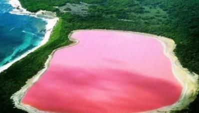 最色的全球美景地 普羅旺斯夏季薰衣草田泛著紫色的光芒