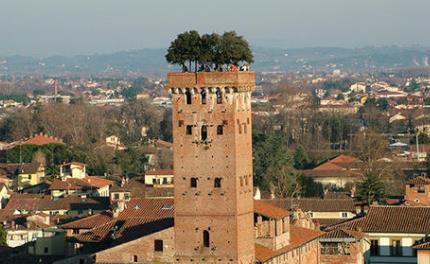 世界上最奇特的地方 螺旋森林位于德國(guó)達(dá)姆施塔特