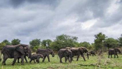 浪漫蜜月圣地盤點 斯里蘭卡擁有著豐富的酒店
