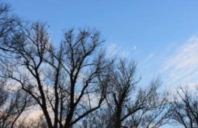 中國境內(nèi)最邪門的地方排行榜 廣州一村莊有個奇怪的倒影塘