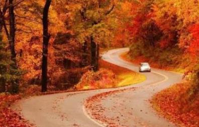 盤點全球風景最美公路 太平洋海岸高速公路不失為一處休息的好地方