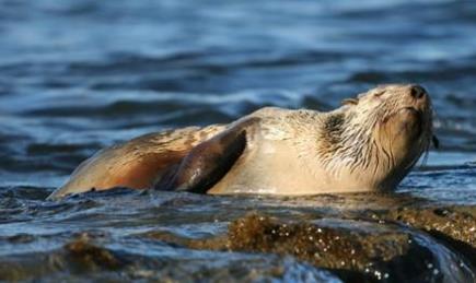 最受歡迎的旅游國家排行 澳大利亞看見如白色風帆似歌劇院穹頂