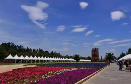 中國適合春季旅游的5a景區 杭州西湖風景名勝區位于杭州市中心