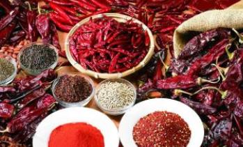 世界上最辣的辣椒排行榜 卡羅來納死神是目前世界上最辣的辣椒