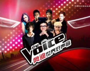 美國最火的綜藝節(jié)目排行榜 美國好聲音由美國大腕明星擔(dān)任導(dǎo)師