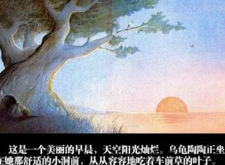 世界哲學(xué)名著 作為意志和表象的世界很值得細(xì)細(xì)品味