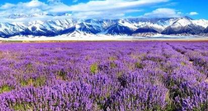 世界最美旅游景點 大溪地這里四季溫暖如春物產豐富