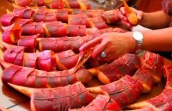 中國最毒的毒藥排行榜 番木鱉就是馬錢子