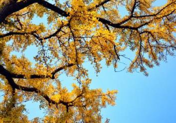 德國魏瑪十大旅游景點排行榜 古典魏瑪吸引了眾多的作家和學者