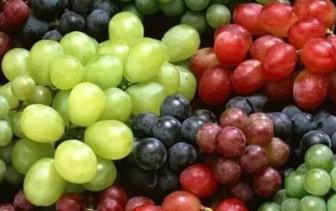 夏天最清火的水果排行榜 梨含水量高達84%