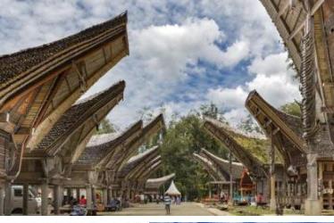 盛產咖啡的十個國家排名 秘魯的咖啡會像世界各地出口