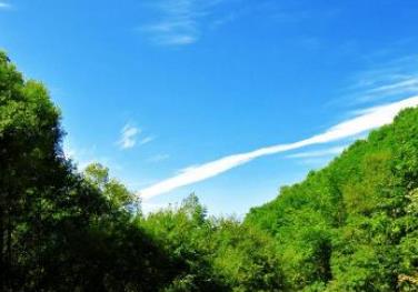 鞍山好玩的地方排行榜 玉佛苑自然人文環境很是不錯