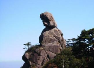 鞍山好玩的地方排行榜 玉佛苑自然人文環境很是不錯