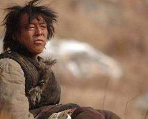 中國演員個人票房排行榜 吳京口碑票房雙豐收