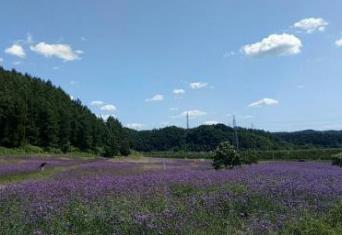 撫順好玩的地方排行榜 赫圖阿拉城是努爾哈赤建造的