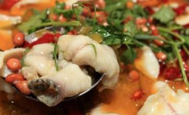 十個有名氣的魚粉品牌 魚東家魚粉秉持著用心做好魚的品牌理念