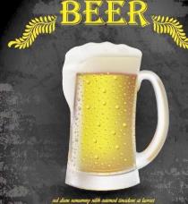 啤酒店十大品牌 奧德旺啤酒有先進的灌裝生產流水線