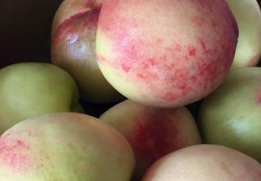 在做月子時要注意自己的身體狀況 推薦6種坐月子可以吃的水果