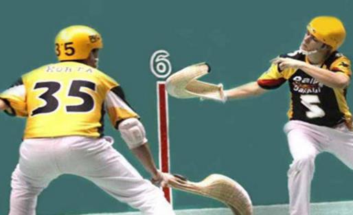 奧運(yùn)史上被停止的奇葩項(xiàng)目排行榜 被停止的奧運(yùn)項(xiàng)目有哪些