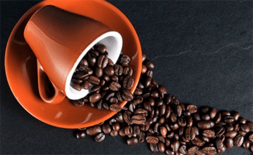 世界十大最貴的咖啡排名 麝香貓屎咖啡每磅160美元