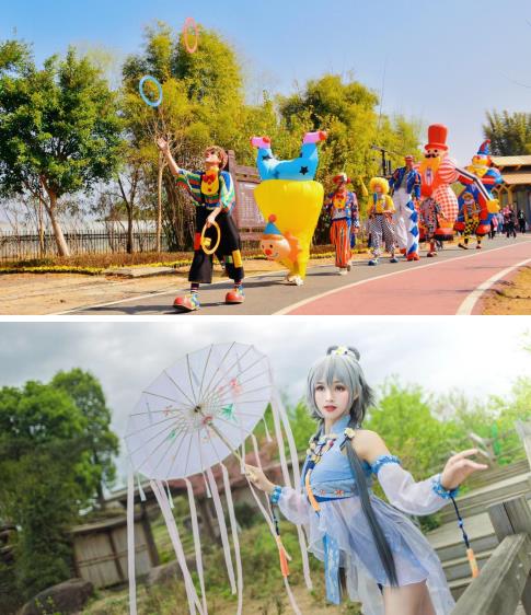 成都空港花田“美好生活節·花田夢想季”火熱開啟