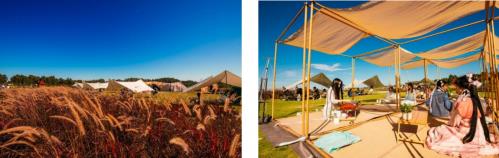 成都空港花田“美好生活節·花田夢想季”火熱開啟