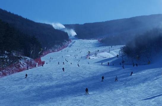 北京冬奧公園可以免費停車嗎?2022年冬奧會是在鳥巢舉行嗎?