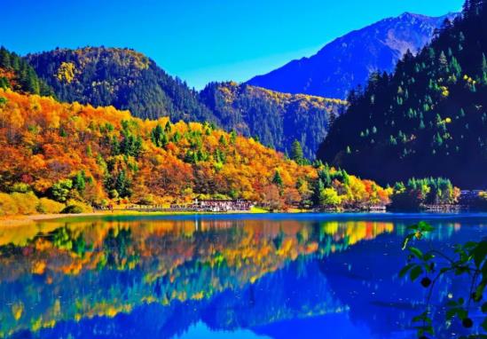 2021年哪些城市可以直飛九寨溝?九寨溝恢復開園如何購票