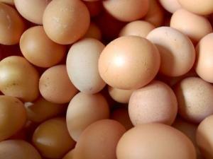 蛋應該怎么吃?吃蛋的注意事項