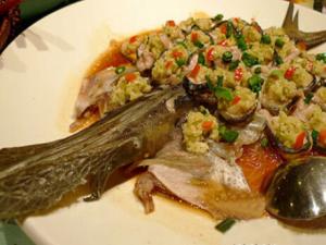 鴨嘴魚是什么?鴨嘴魚的營養價值