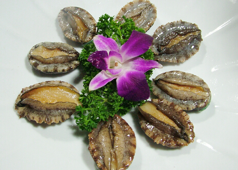 鮑魚的營養價值-鮑魚適合什么人吃