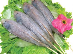 龍利魚的介紹-龍利魚和鯛魚哪個營養更好