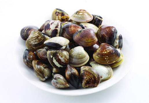 河蚌怎么洗?河蚌的營養價值