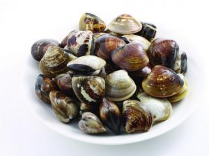 河蚌怎么洗?河蚌的營養價值及功效