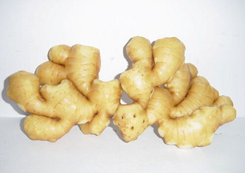 生姜去痘印有效嗎?生姜的功效與作用