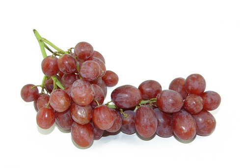 �t��Ĺ�Ч�c����-�t��ķNֲ���g(sh��)